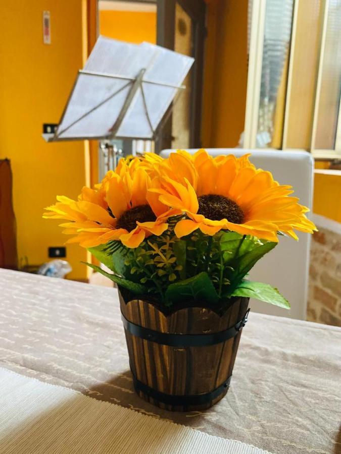 A Casa Di Anna Acomodação com café da manhã Vaglio Serra Exterior foto